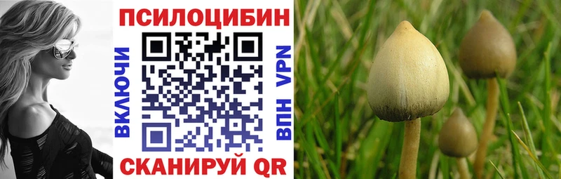 Галлюциногенные грибы GOLDEN TEACHER  кракен сайт  Инта 